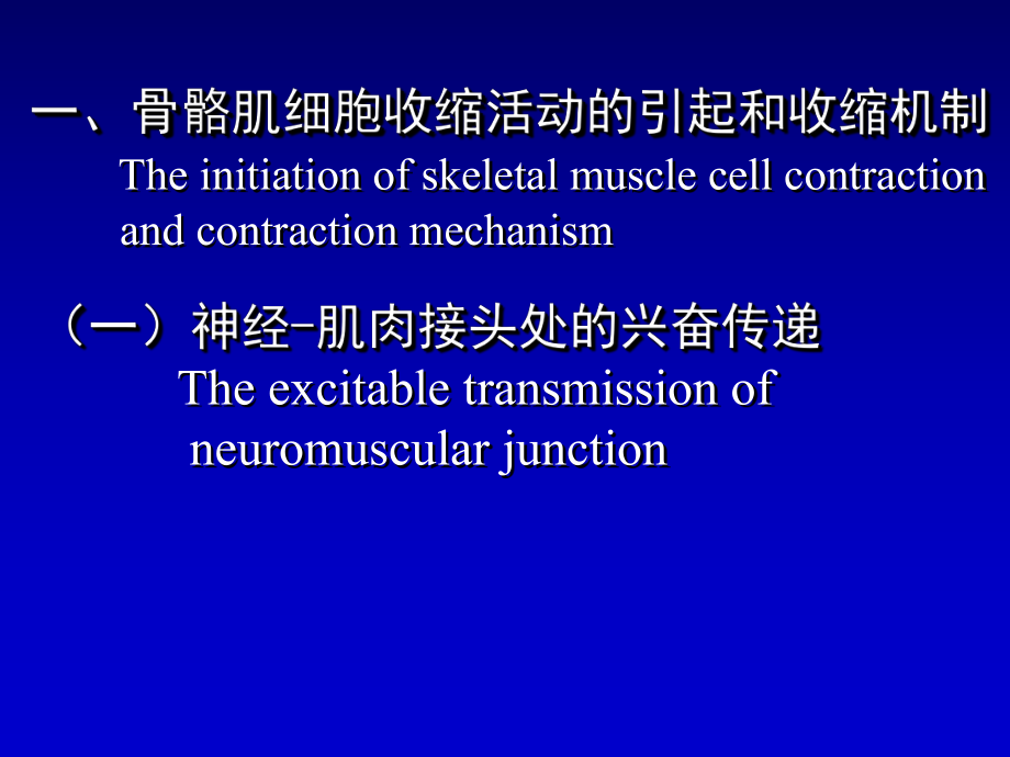 生理学——骨骼肌的收缩功能.ppt_第2页