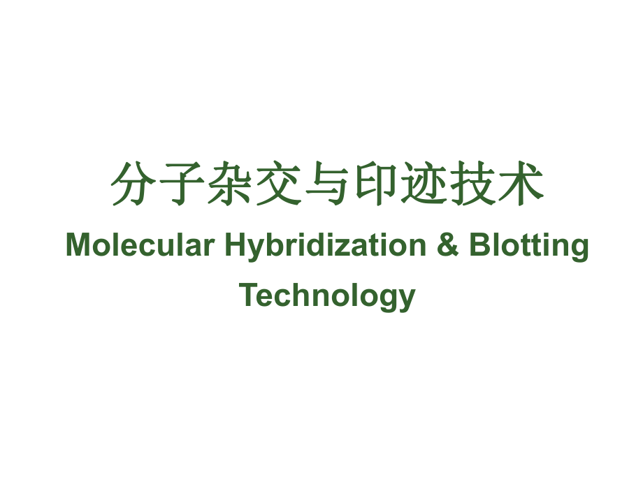 生物化学分子杂交.ppt_第1页