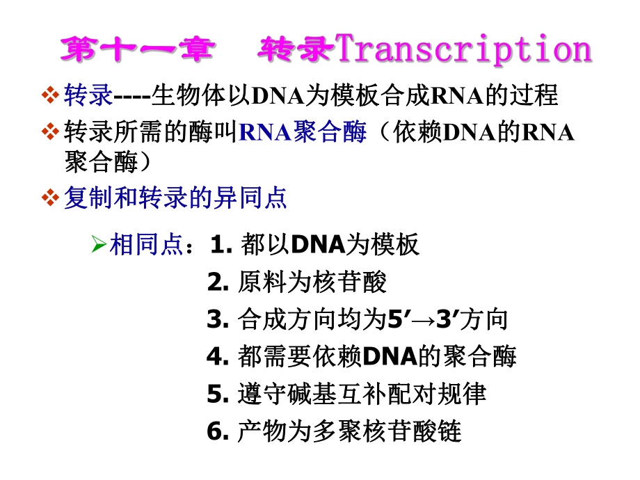 生物化学之转录.ppt_第1页