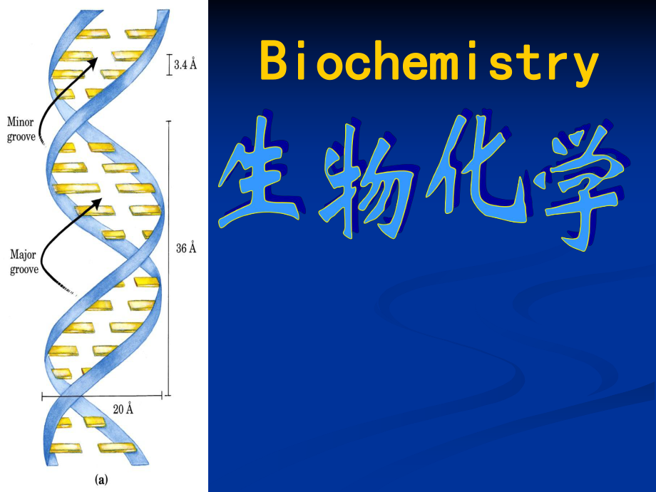 生物化学绪论.ppt_第1页