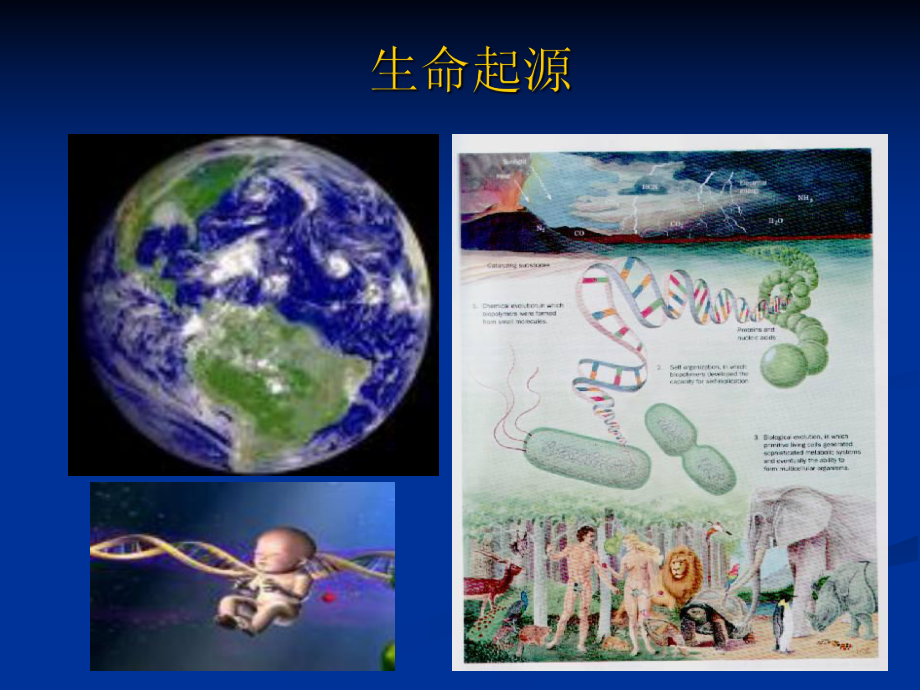 生物化学绪论.ppt_第3页