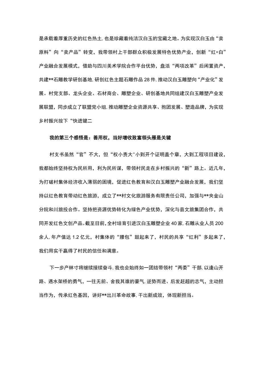 村党支部书记微党课.docx_第2页