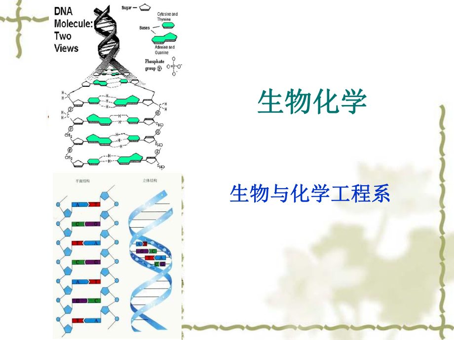 生物化学说课.ppt_第1页