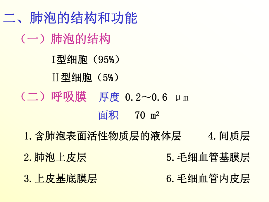 生理学课件呼吸施.ppt_第3页