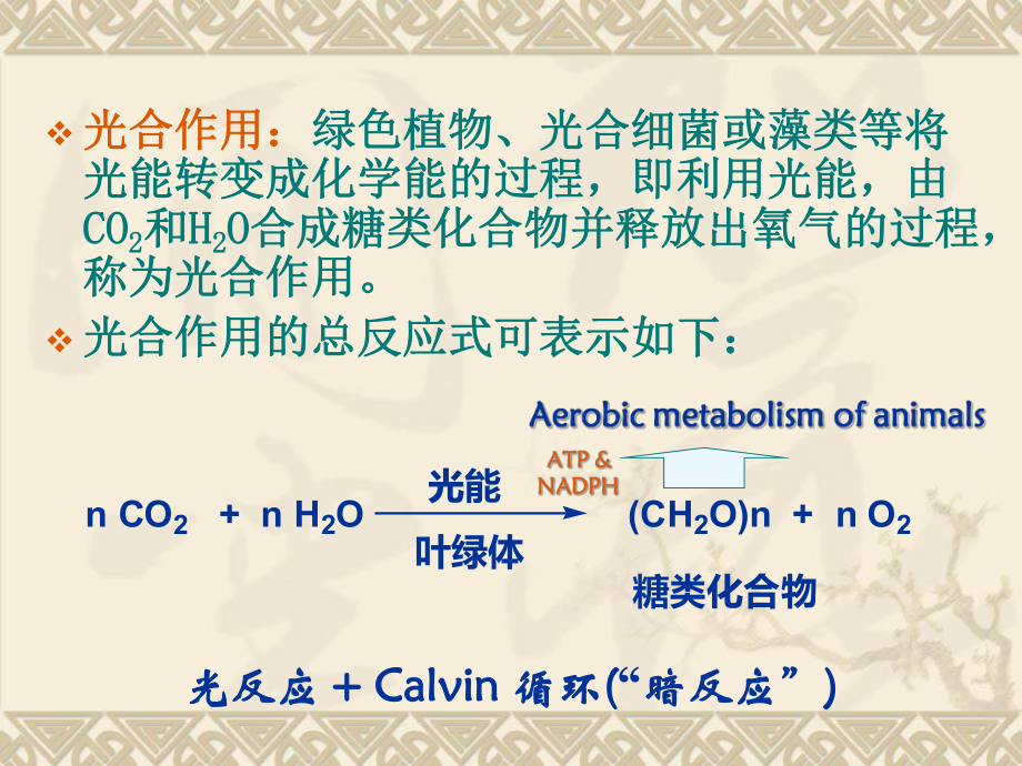 生物化学光合作用.ppt_第2页