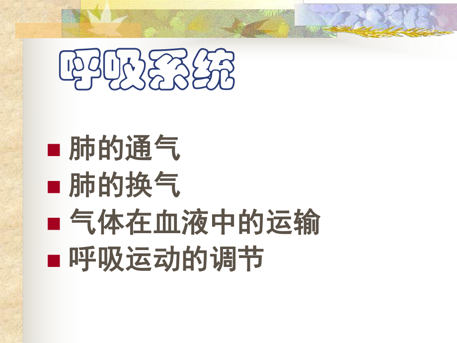 生理学考研呼吸系统.ppt_第2页