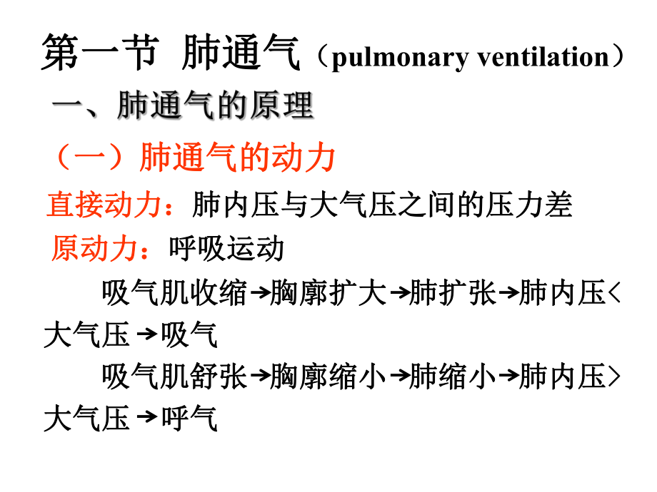 生理学课件呼吸.ppt_第3页