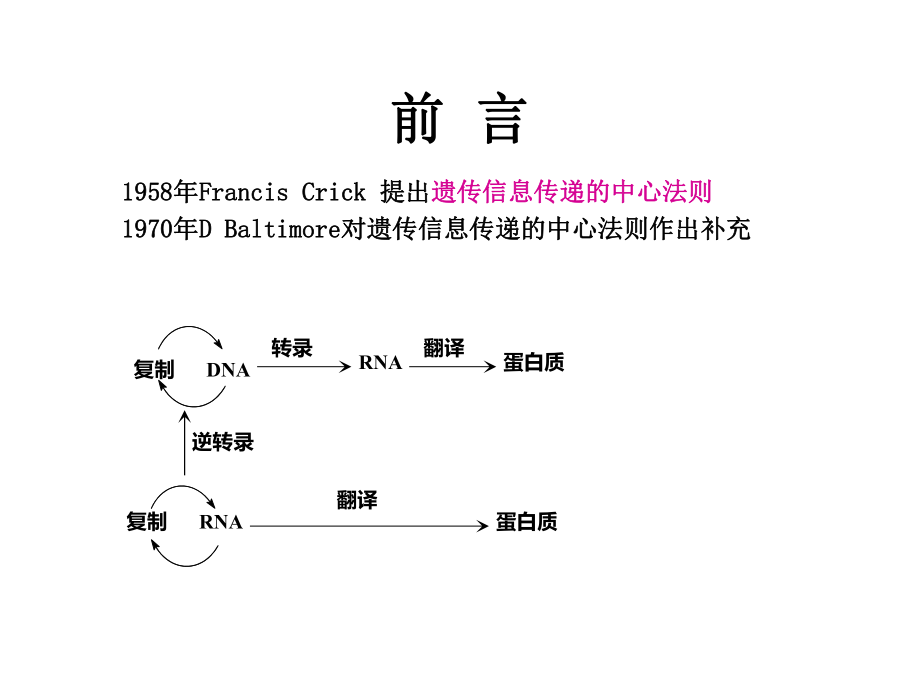 生物化学DNA的生物合成.ppt_第2页