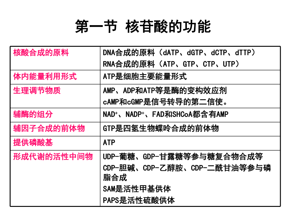 生物化学核苷酸代谢.ppt_第2页