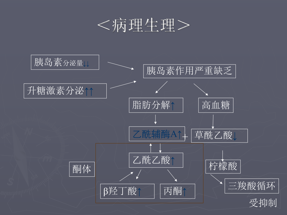 糖尿病酮症酸中毒PPT.ppt_第3页