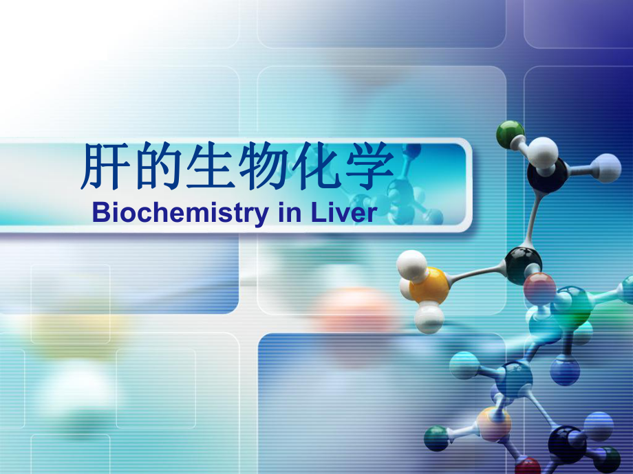 肝脏的生物化学.ppt_第1页