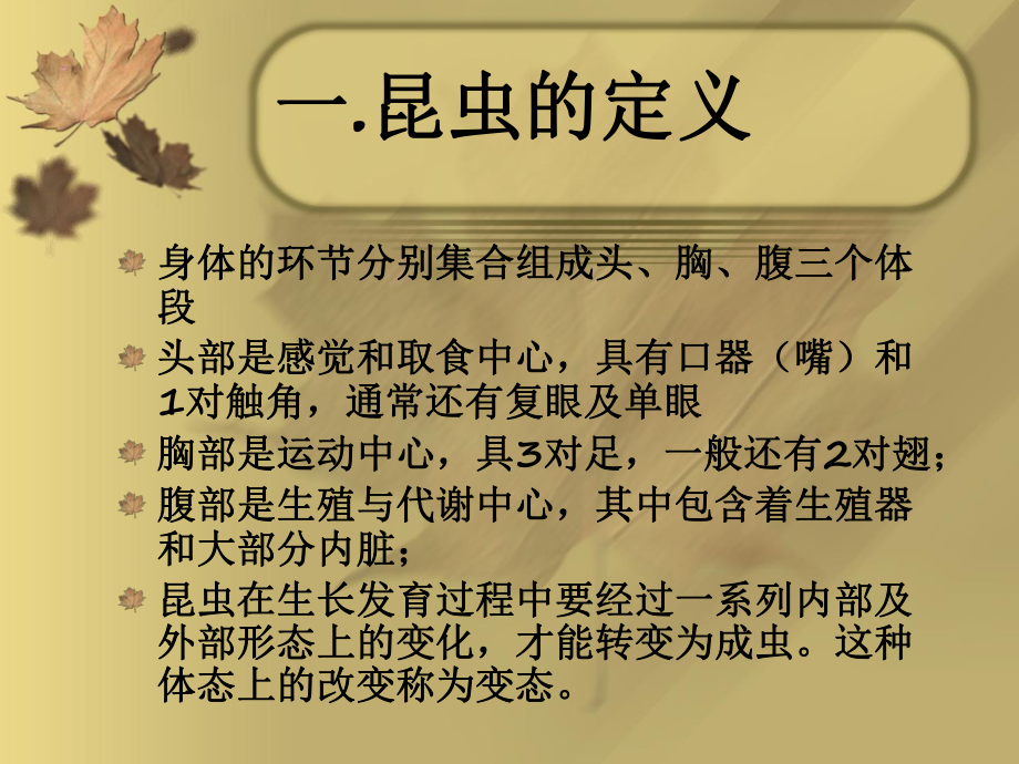 蜻蜓讲课课件.ppt_第2页