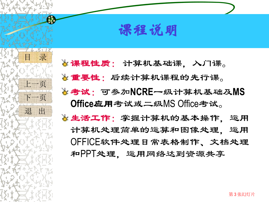 计算机应用基础第一章.ppt_第3页