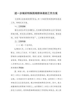 进一步做好特殊困难群体救助工作方案.docx