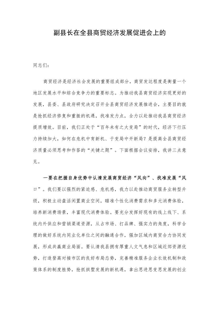 副县长在全县商贸经济发展促进会上的.docx_第1页