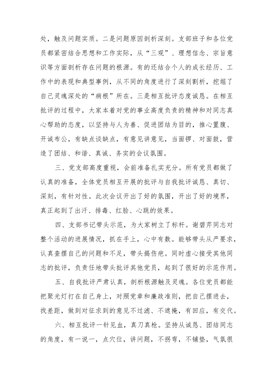 在支部组织生活会上的点评讲话.docx_第2页