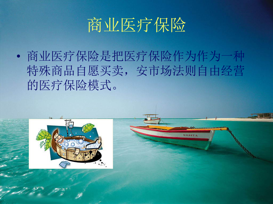 商业医疗保险模式.ppt_第2页