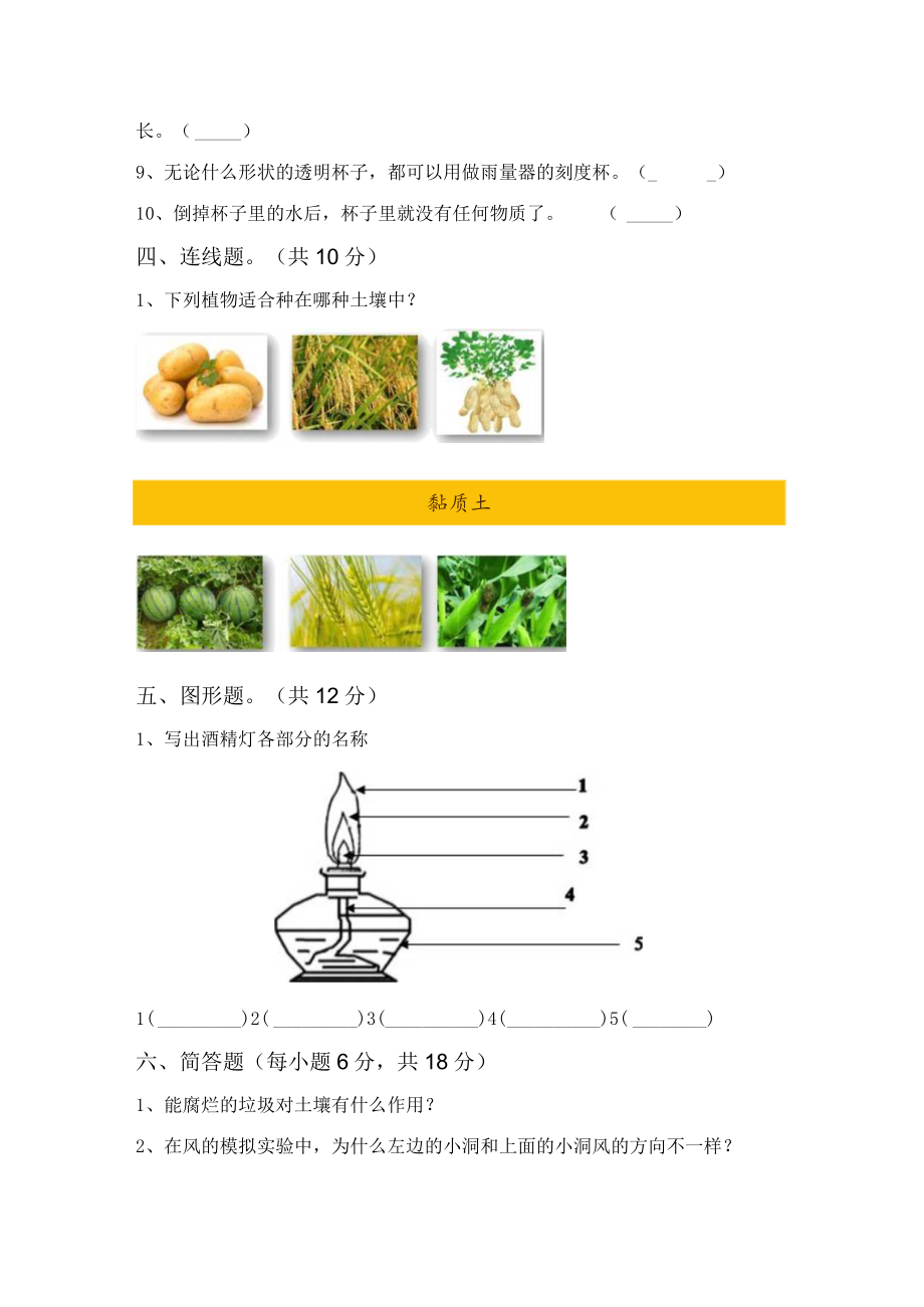 苏教版三年级科学下册期中试卷【及参考答案】.docx_第3页