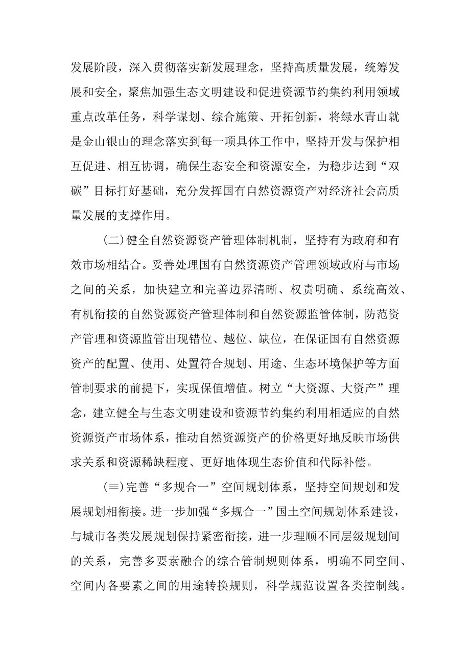 关于国有自然资源资产管理情况的专项报告的调查报告.docx_第3页