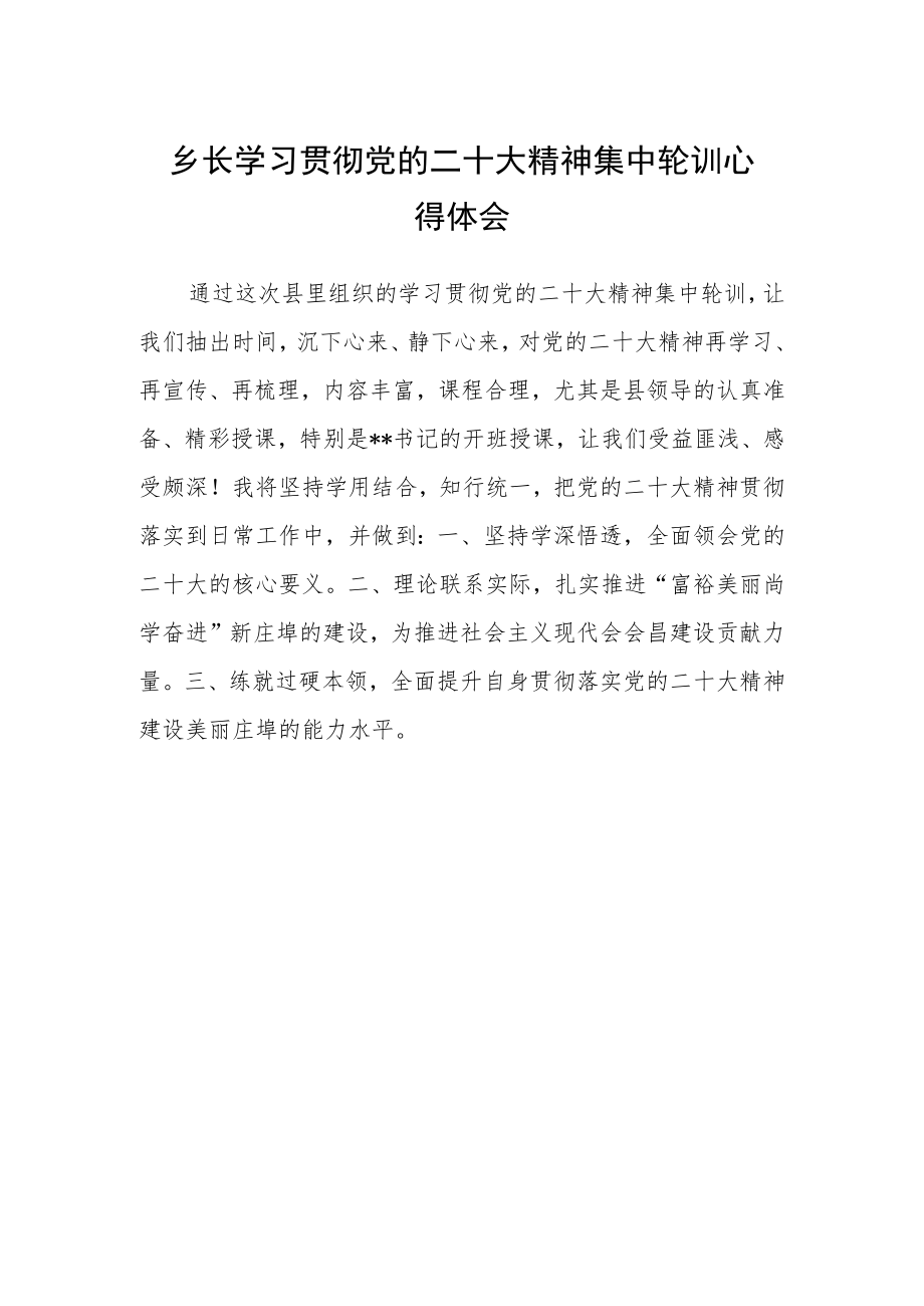 乡长学习贯彻党的二十大精神集中轮训心得体会.docx_第1页