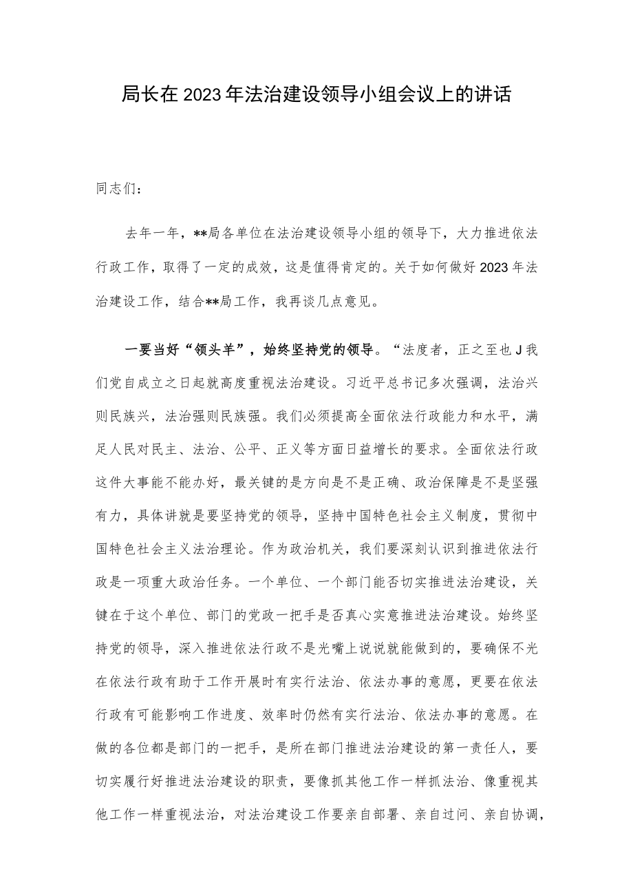 局长在2023年法治建设领导小组会议上的讲话.docx_第1页