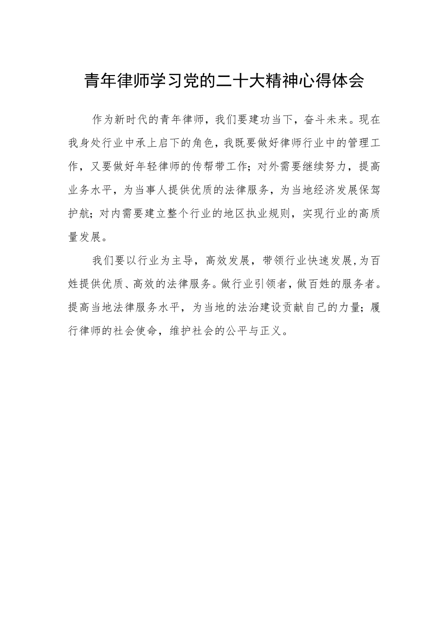 青年律师学习党的二十大精神心得体会.docx_第1页