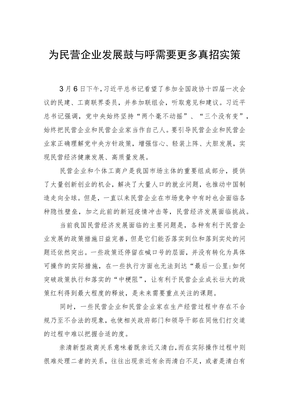 为民营企业发展鼓与呼需要更多真招实策.docx_第1页