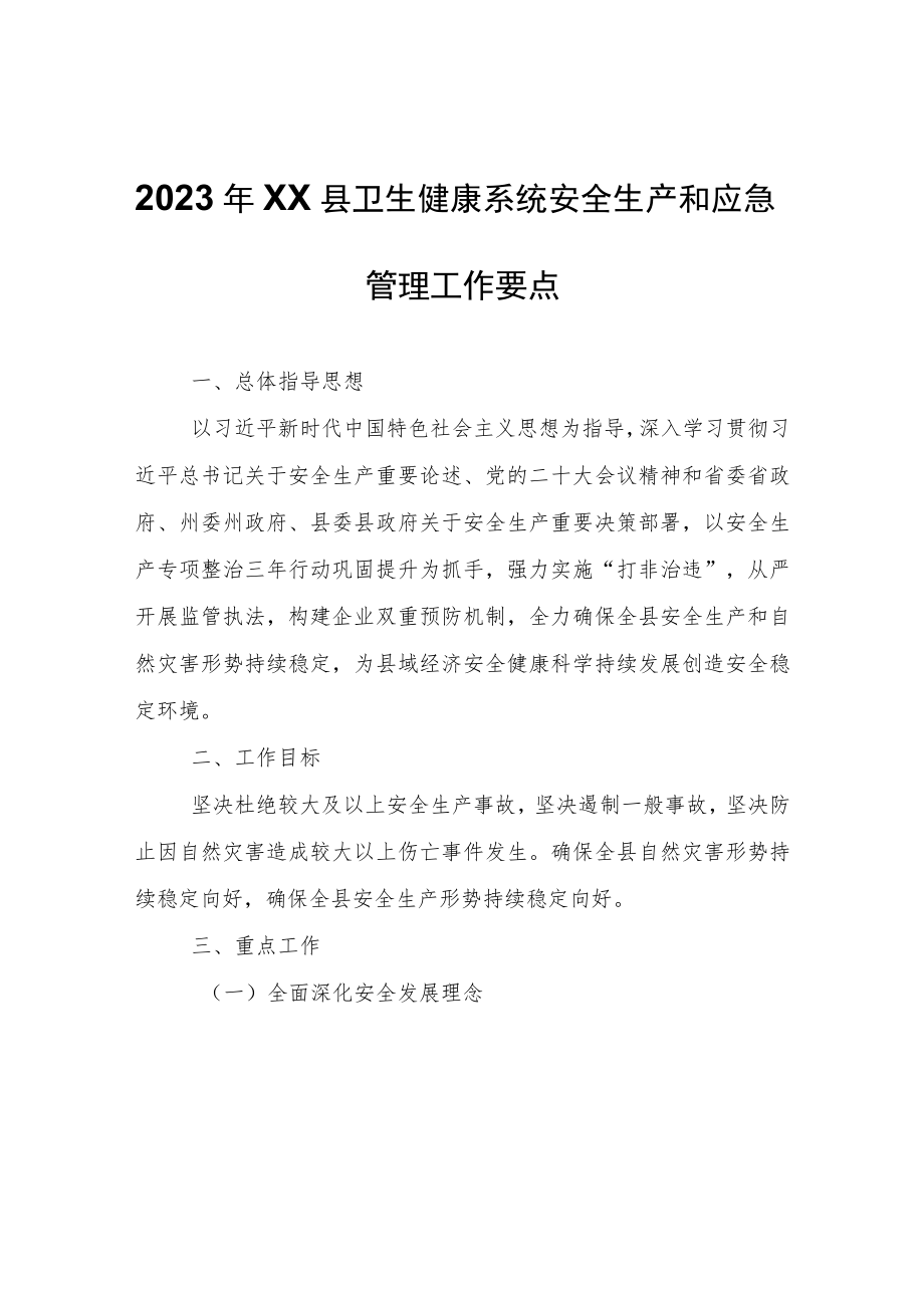 2023年XX县卫生健康系统安全生产和应急管理工作要点.docx_第1页