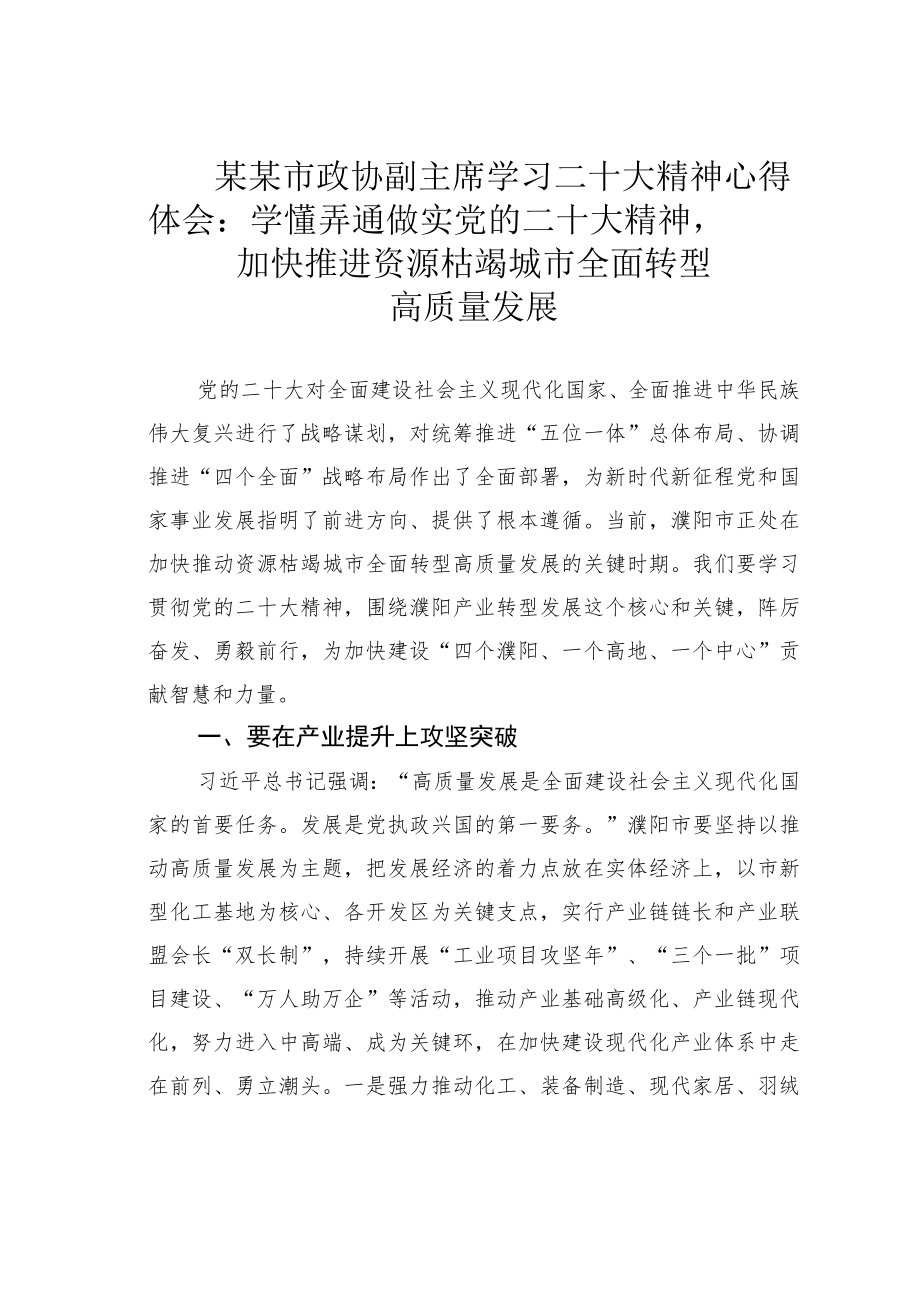 某某市政协副主席学习二十大精神心得体会：学懂弄通做实党的二十大精神加快推进资源枯竭城市全面转型高质量发展.docx_第1页