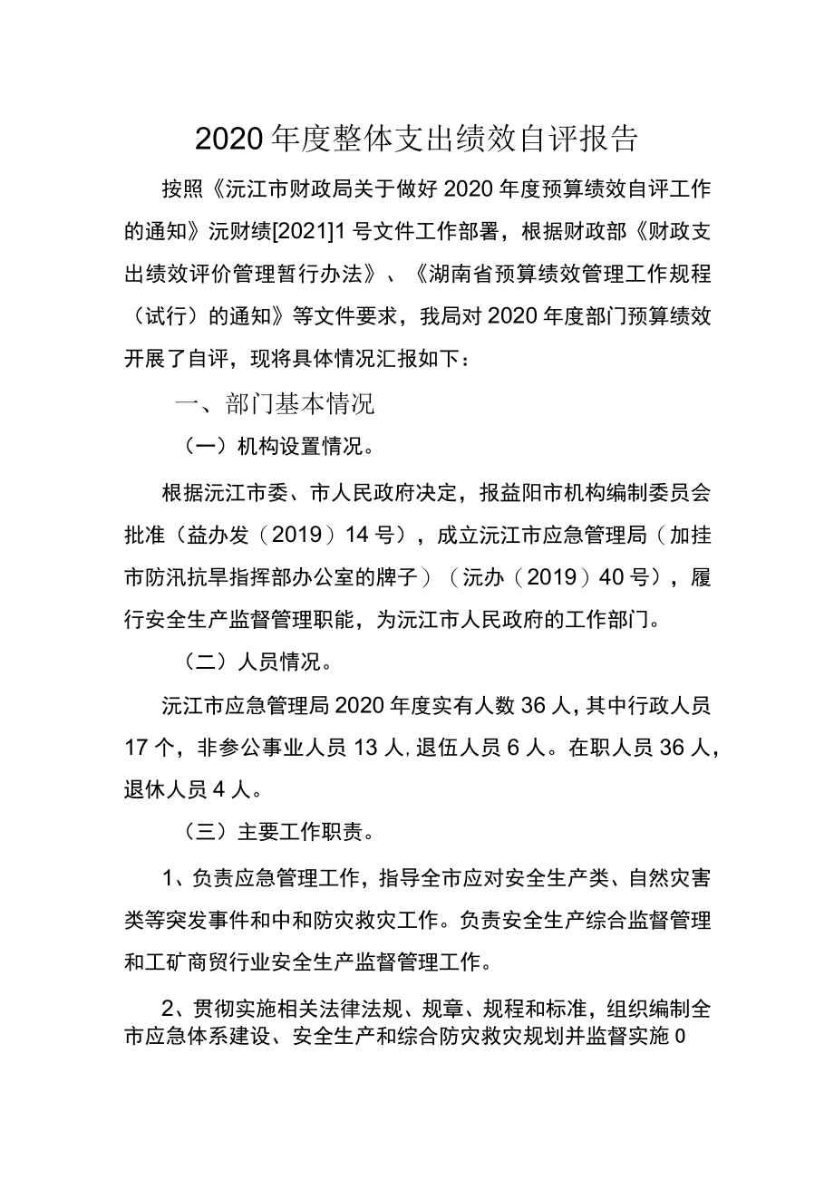 2020年度整体支出绩效自评报告.docx_第1页