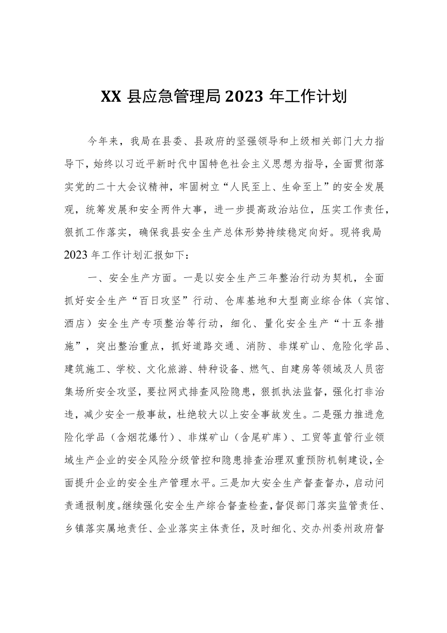 XX县应急管理局2023年工作计划.docx_第1页