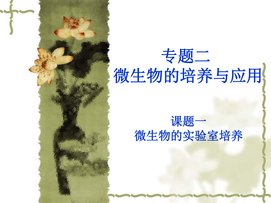 微生物的实验室培养(一轮).ppt_第1页