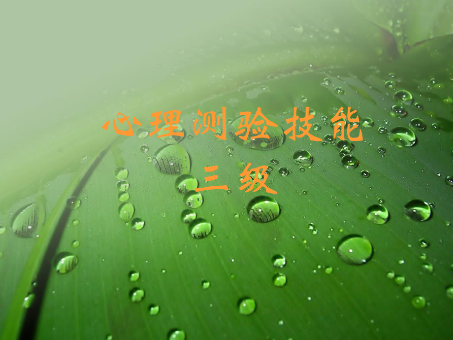 心理咨询师三级心理测验技能.ppt_第1页