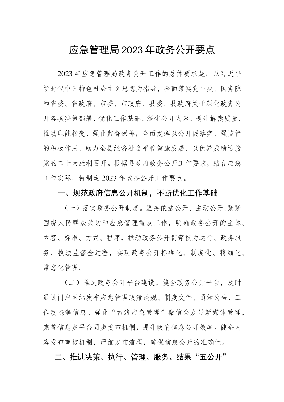 应急管理局2023年政务公开要点.docx_第1页