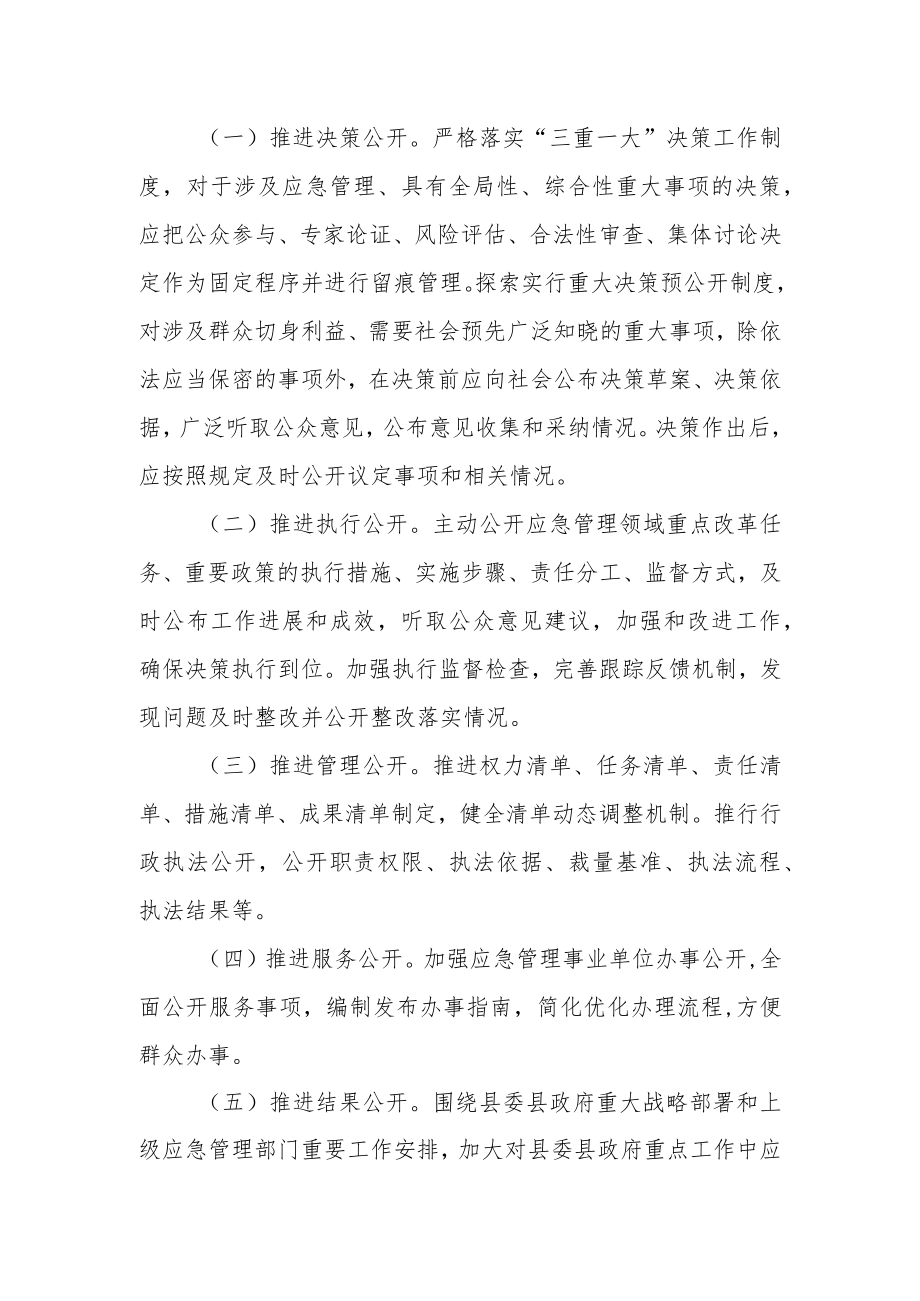 应急管理局2023年政务公开要点.docx_第2页