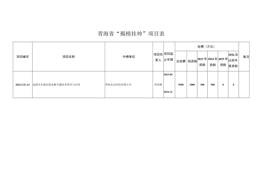 青海省“揭榜挂帅”项目表.docx_第1页