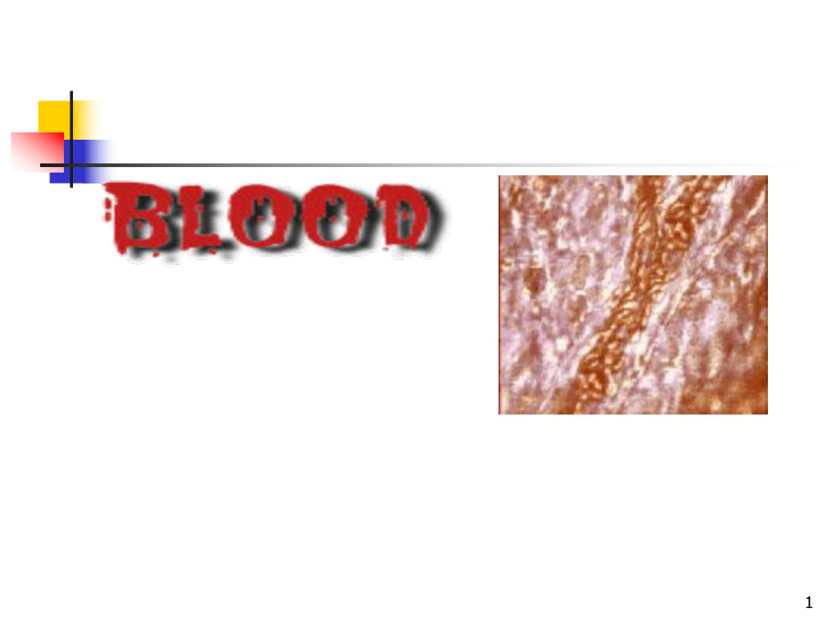 研究生考试血液系统.ppt_第1页