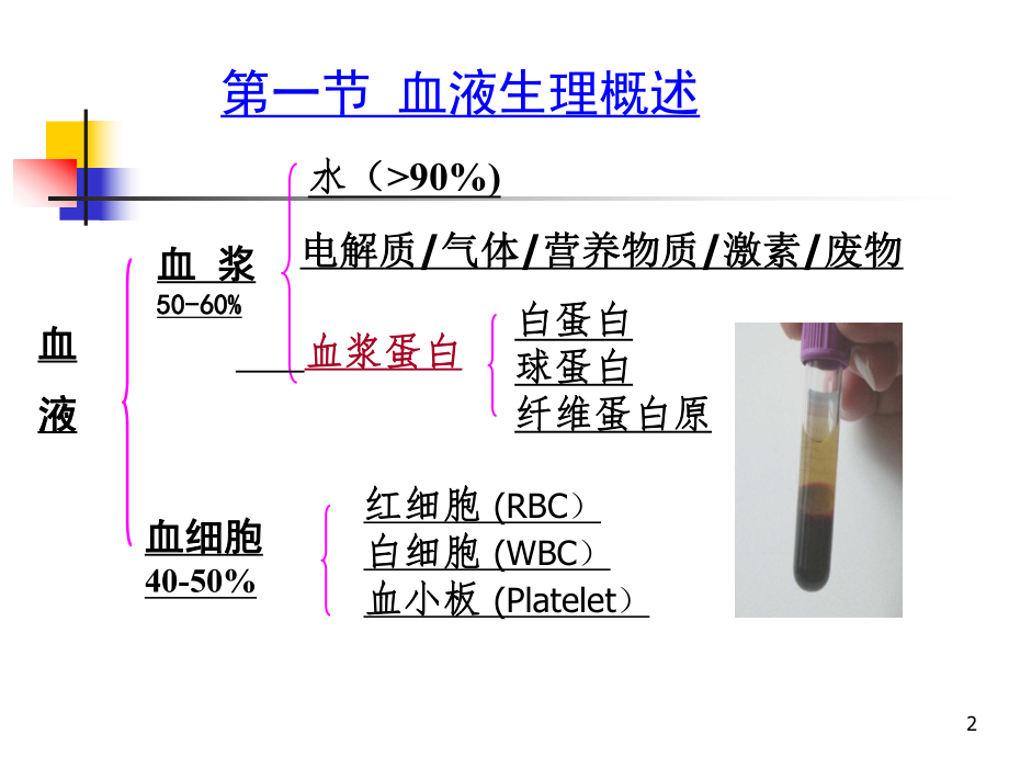 研究生考试血液系统.ppt_第2页