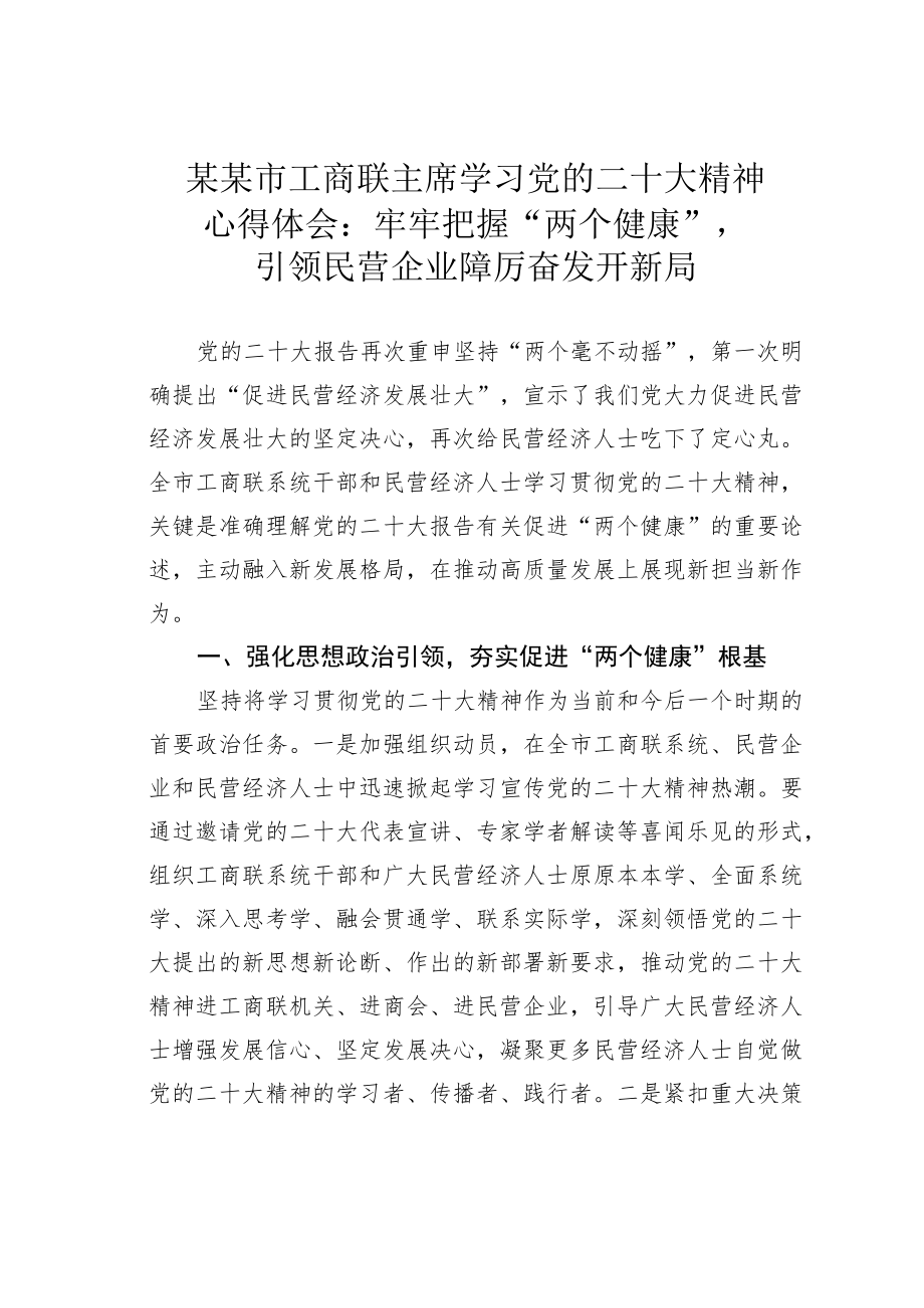 某某市工商联主席学习党的二十大精神心得体会：牢牢把握“两个健康”引领民营企业踔厉奋发开新局.docx_第1页