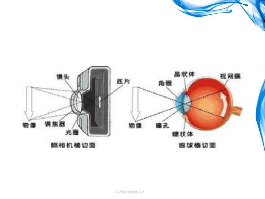 眼科护理知识点.ppt_第3页