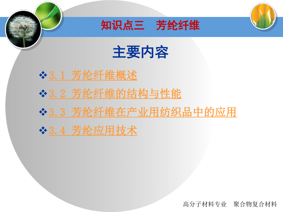 知识点三芳纶纤维.ppt_第2页