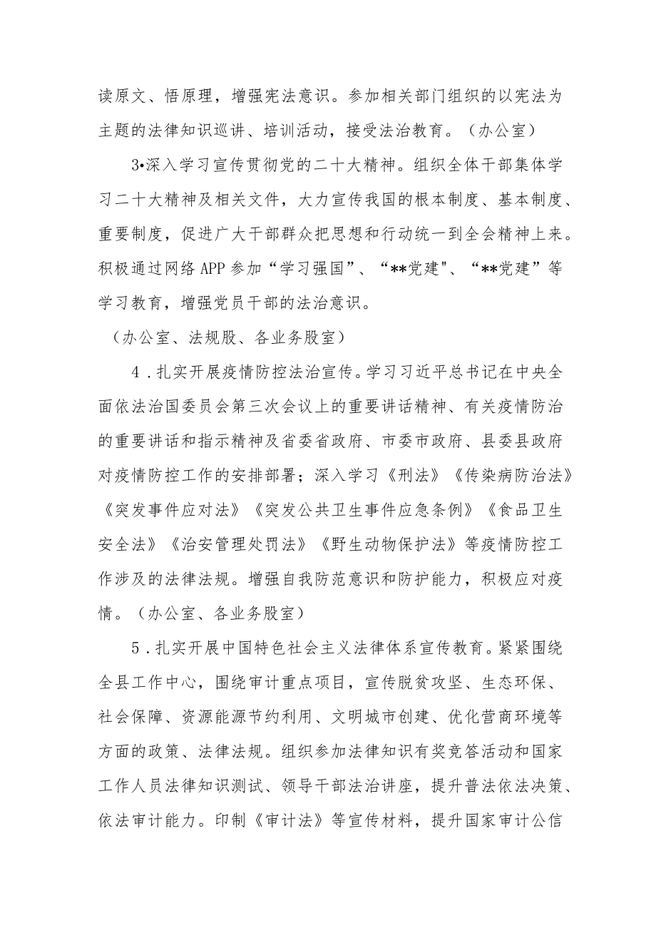 审计局2023年普法依法治理工作要点.docx_第2页