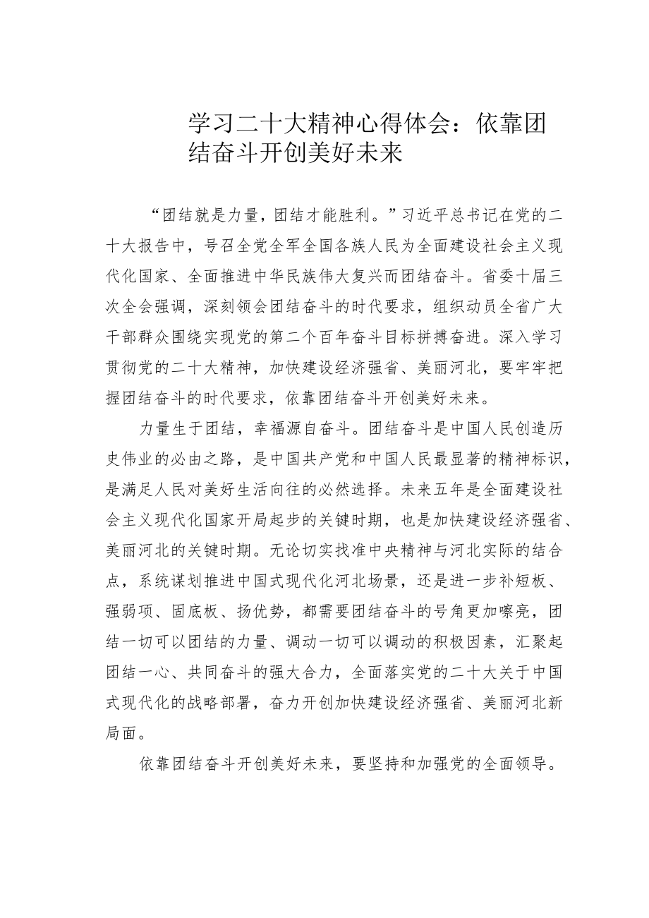 学习二十大精神心得体会：依靠团结奋斗开创美好未来.docx_第1页