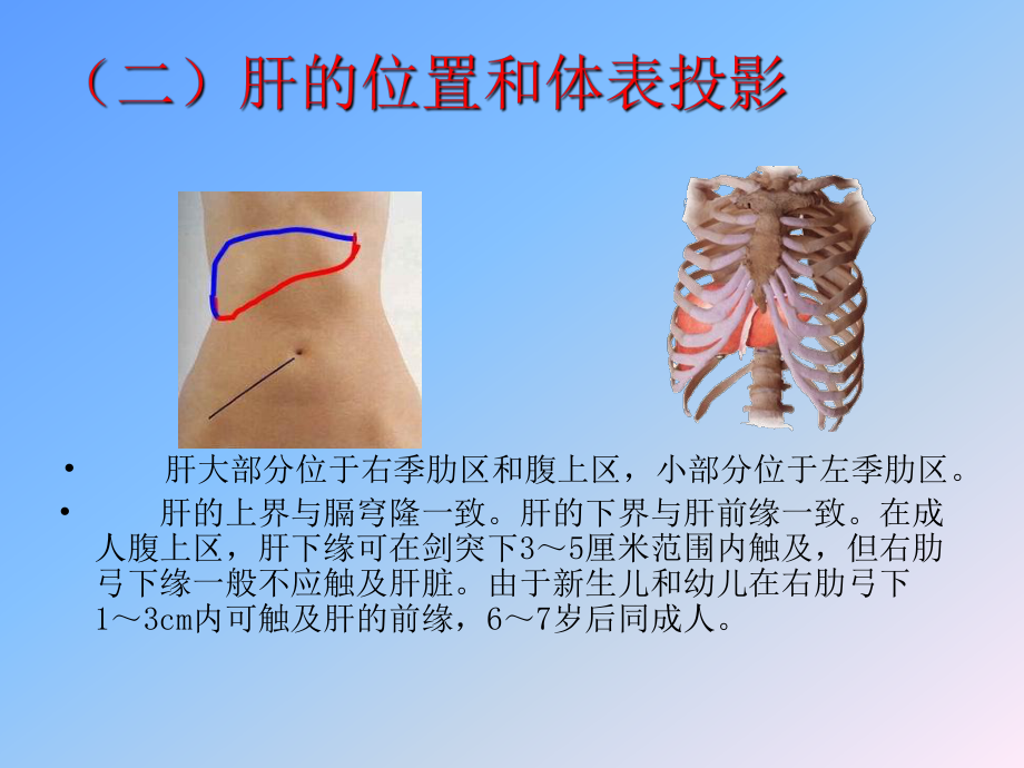 肝病基础知识.ppt_第3页