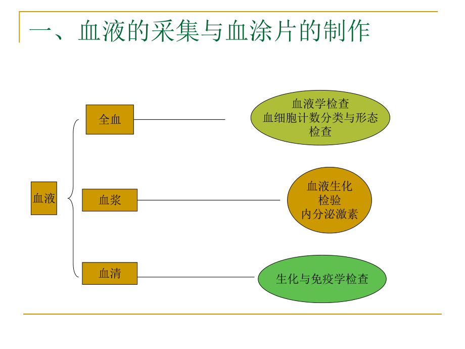 第二章实验室检验.ppt_第3页