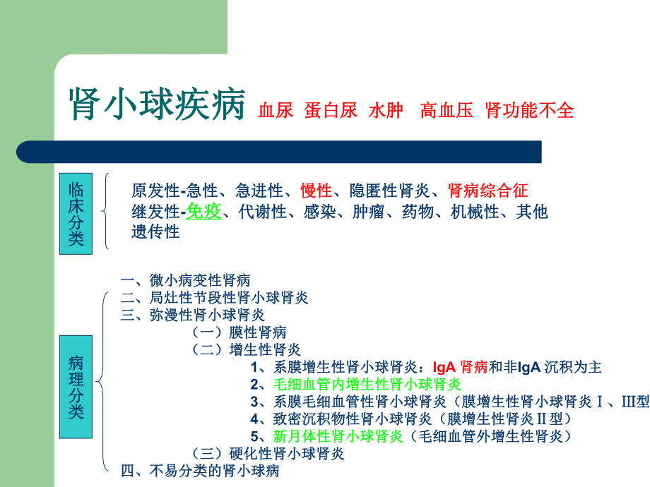 肾内科知识点.ppt_第3页