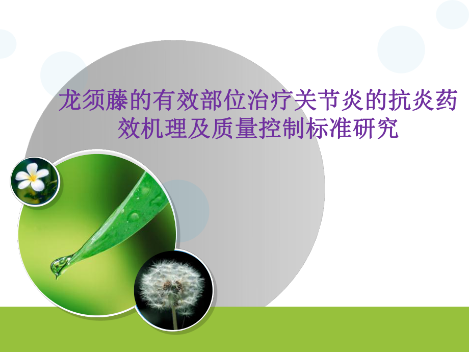 药学研究生开题报告.ppt_第1页