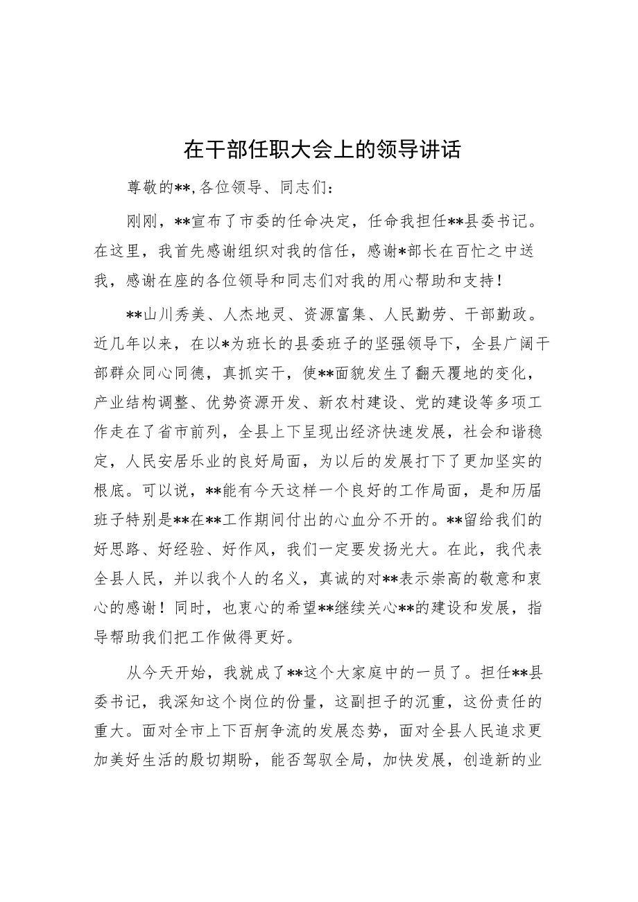 在干部任职大会上的领导讲话.docx_第1页