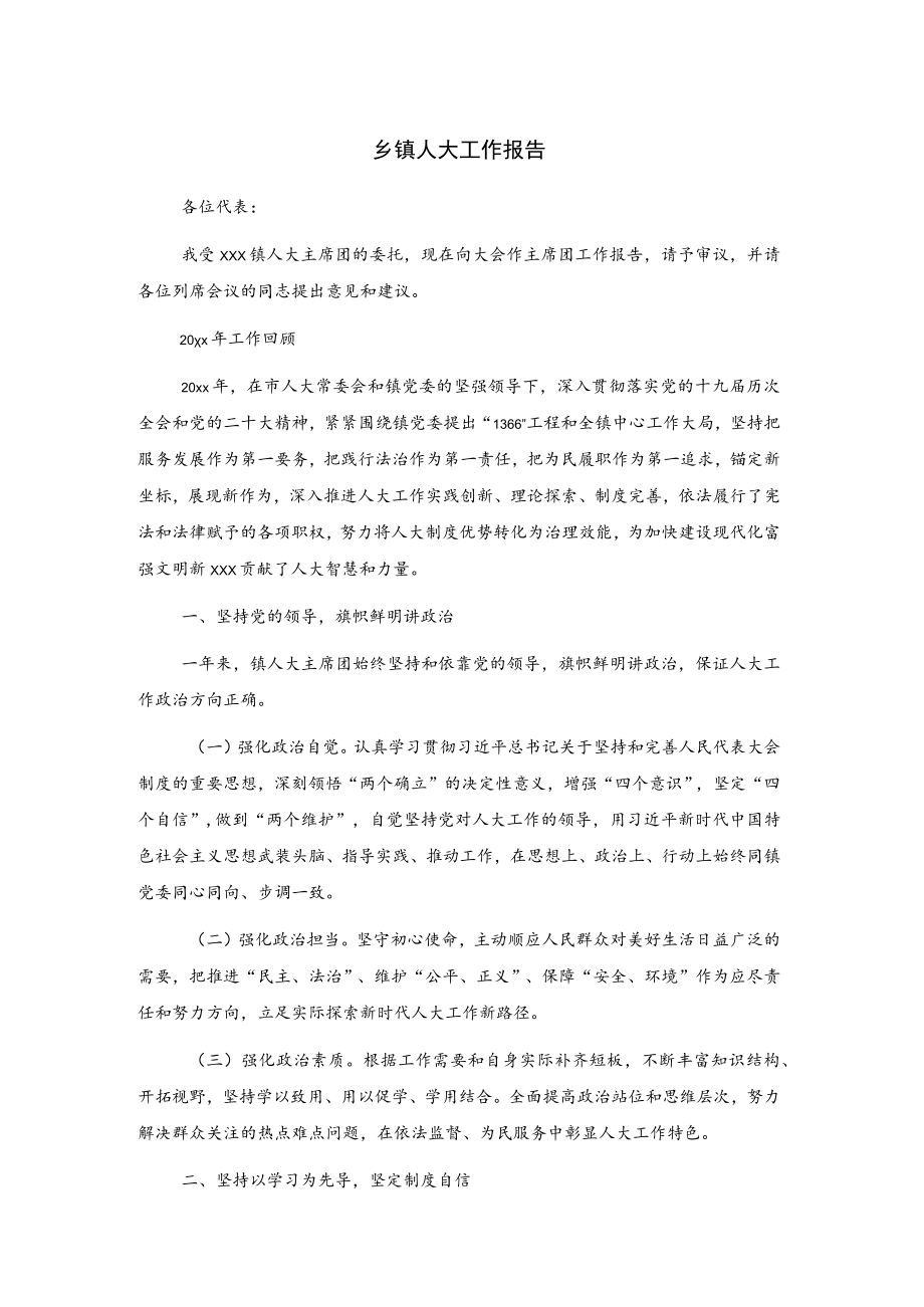 乡镇人大工作报告.docx_第1页