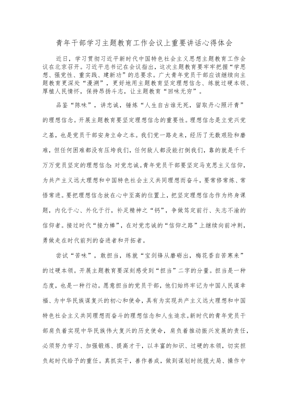 青年干部学习主题教育工作会议上重要讲话心得体会.docx_第1页